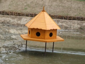 Domek dla kaczek